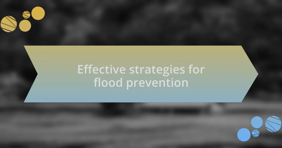 Effective strategies for flood prevention