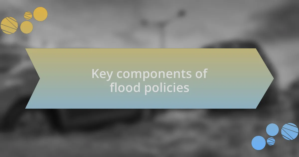 Key components of flood policies